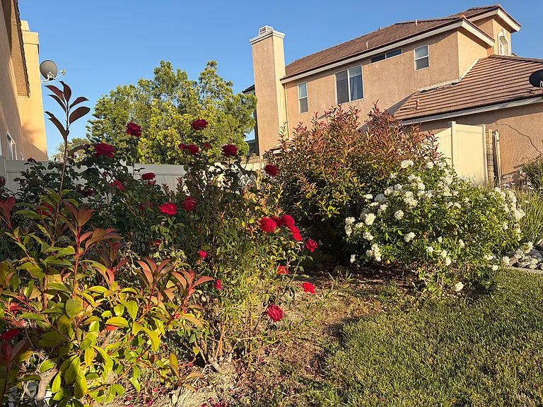 28330 Linda Vista St — Photo 39