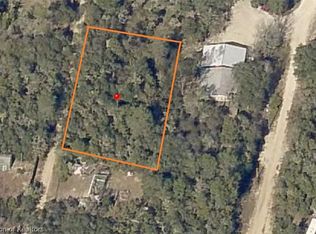153 Terrace NE, Fort Mc Coy, FL 32134