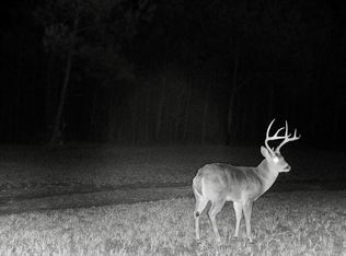 41 County Road 1325, Booneville, MS 38829