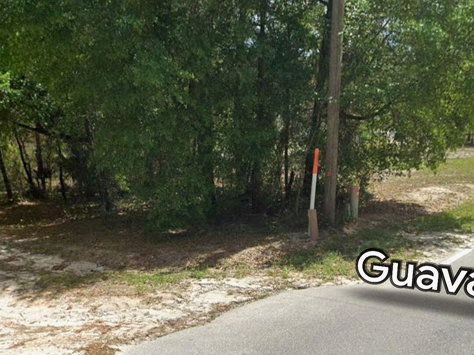 1st image of 202 GUAVA Avenue