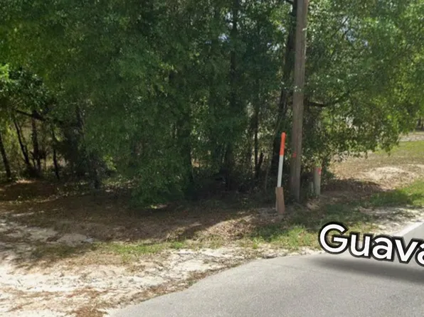 202 GUAVA Avenue, Pomona Park, FL 32181