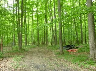 3397 N Ferris Ave, White Cloud, MI 49349
