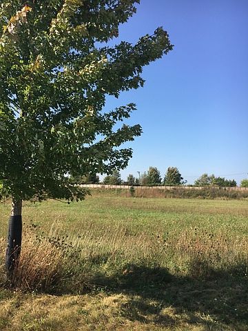 1st image of 27384 W Junegrass Dr