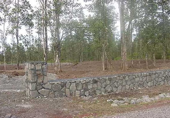 4th image of 31st Ave Lot 338