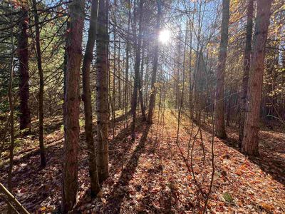 Cole School Rd, Pembine, WI, 54156