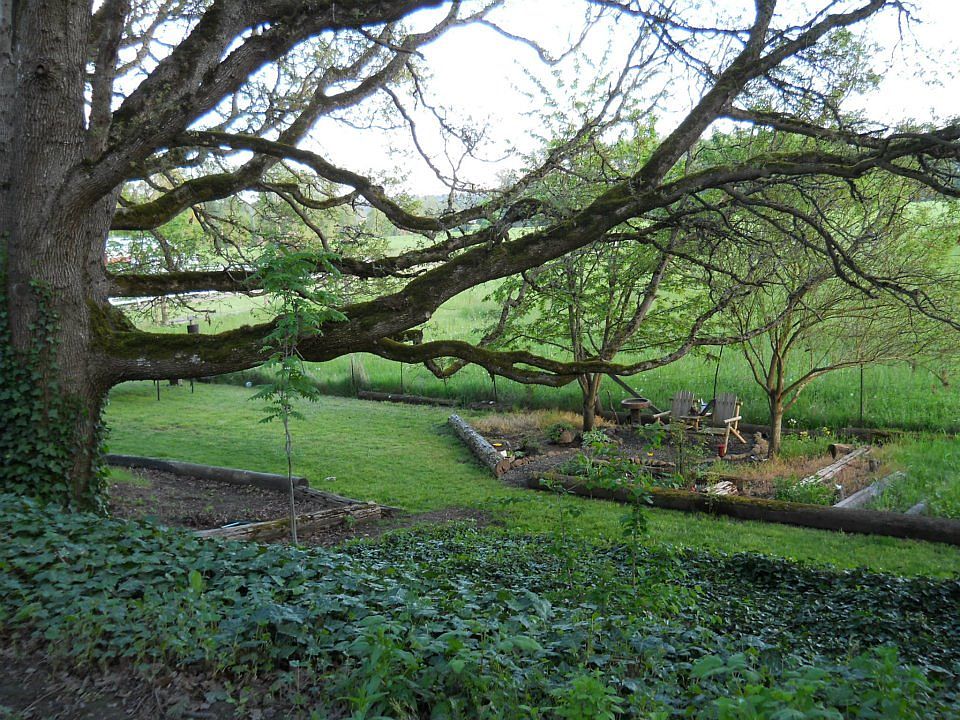 View from Lower Deck