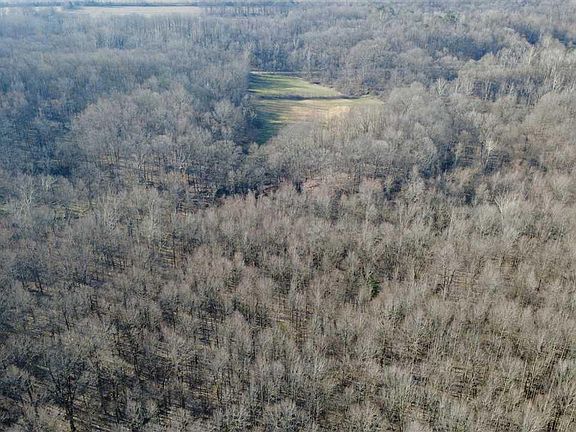 5th image of E Coal Blf