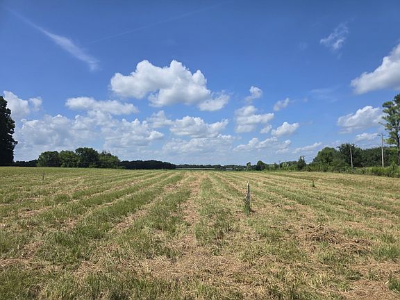 5th image of 0 Nashville Hwy
