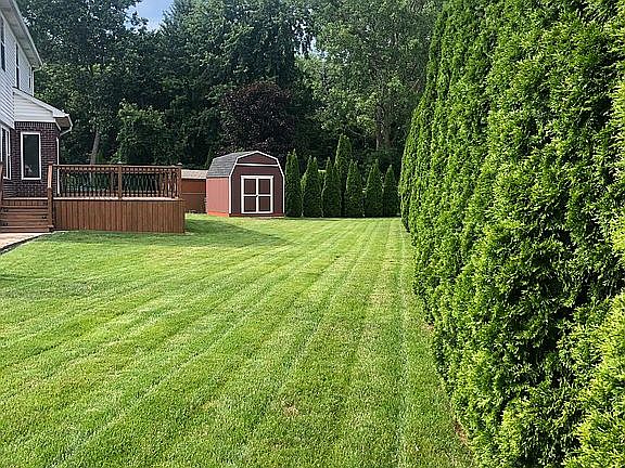 backyard, deck and shed