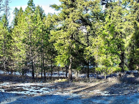 3rd image of 2517 Mossy Rock Ct