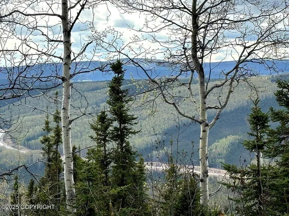 L32-B3 Olnes Loop Rd, Fairbanks, AK 99712