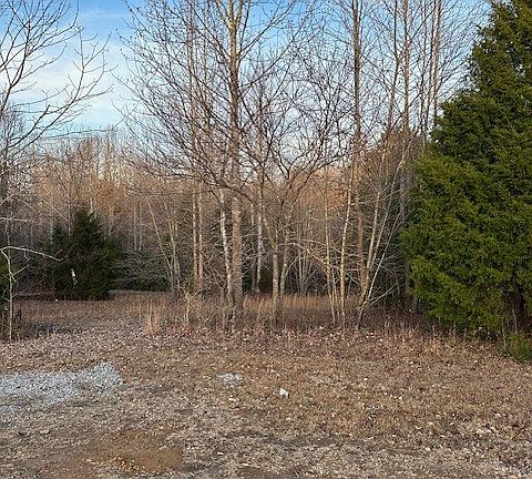 3rd image of 0 Highway 48 N Lot 3