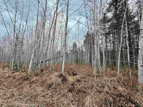 Tbd Off River Rd, Powers, MI 49874