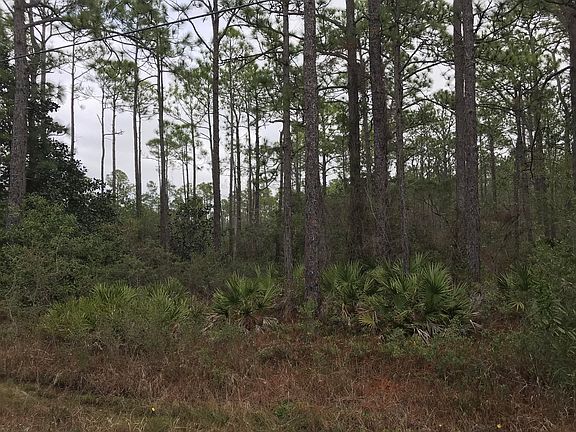 5th image of 22 Mussett Bayou Ct