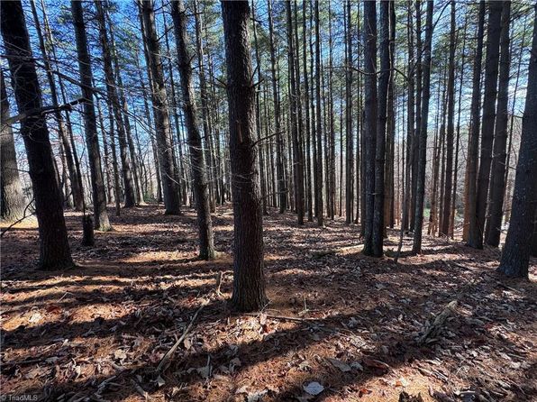 4.23 McIntosh Dr, Lowgap, NC 27024