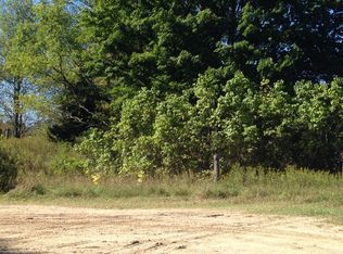 6599 E 46 1/2 Rd, Cadillac, MI 49601