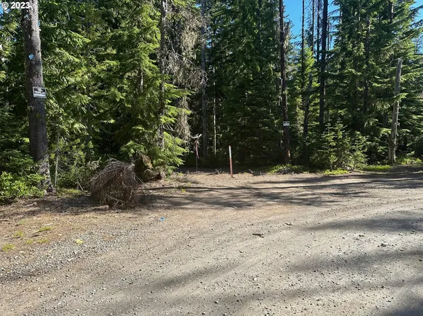 0 E Chimney Rock, Government Camp, OR 97208