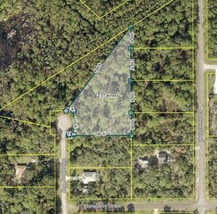 Chinaberry Way LOT 8, Eustis, FL, 32736