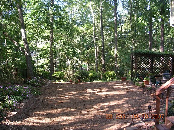 Natural Park Like Backyard