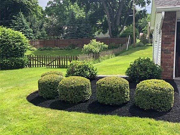 3rd image of 117 Clearview Dr