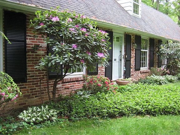 Colors and groundcover