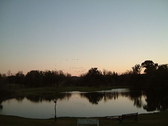 Pond at sunset