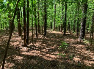 22 A Dr, Enville, TN 38332