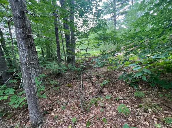 Beaver Pond Drive, Barnstead, NH 03225