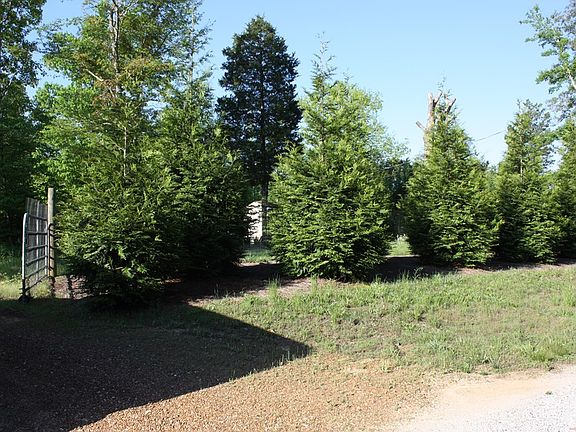 2nd image of 132 Bethel Farm Ln