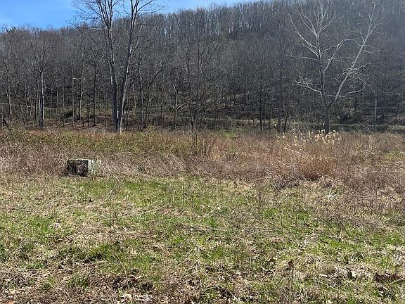 5th image of 1468 Tatman Coe Rd