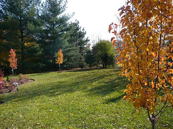 yard