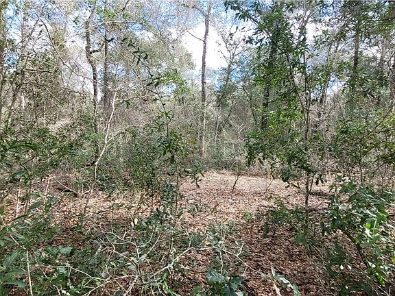 3rd image of 9597 N Centennial Point