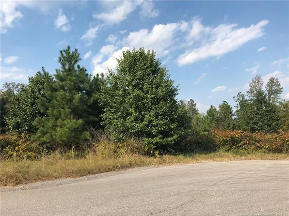 11 Remington Hill Dr, Bunnlevel, NC 28323