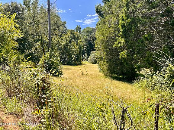 4th image of 77 Lenzi Rd
