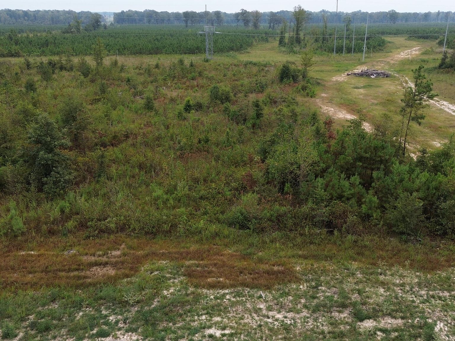 Stump Ridge Road Land For Sale at Lou Shaw blog