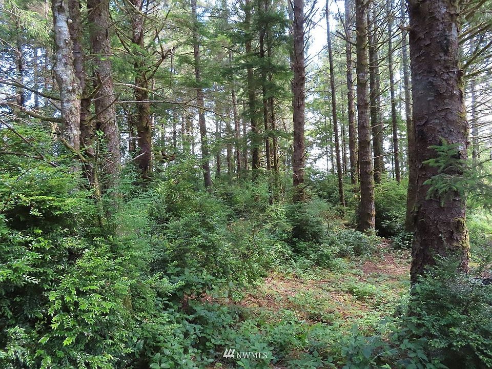 0 XXX State Route 109, Copalis Beach, WA 98535 Zillow