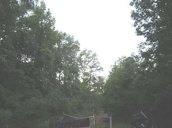 175 Hickory Rd, Hallsville, TX 75650