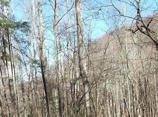 9999 Pegg Rd, Barnardsville, NC 28709