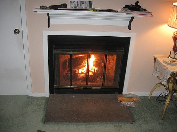 wood burning fireplace