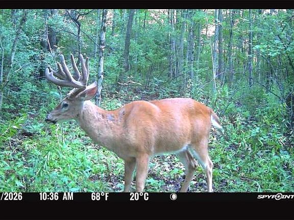 2nd image of Bunnell Rd Lot 3