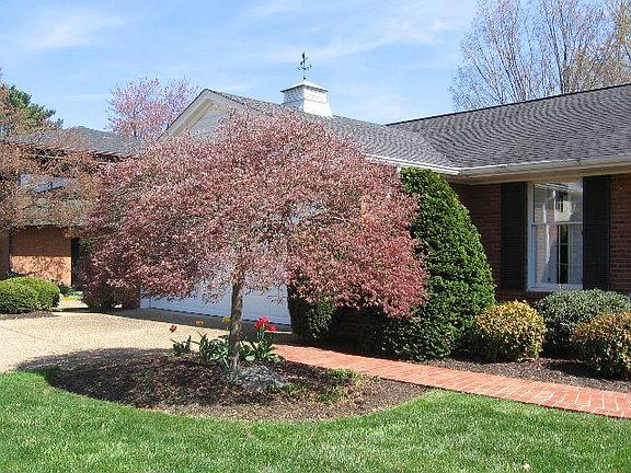 2nd image of 450 Preston Dr