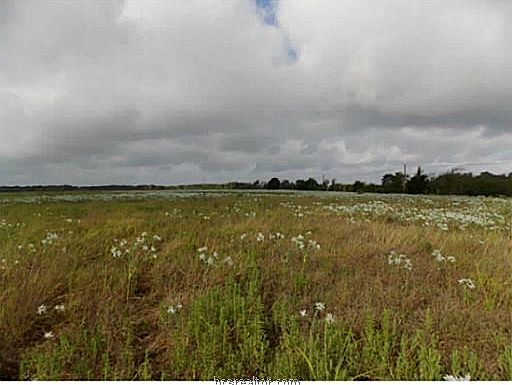 3rd image of 21582 E Us Highway 79