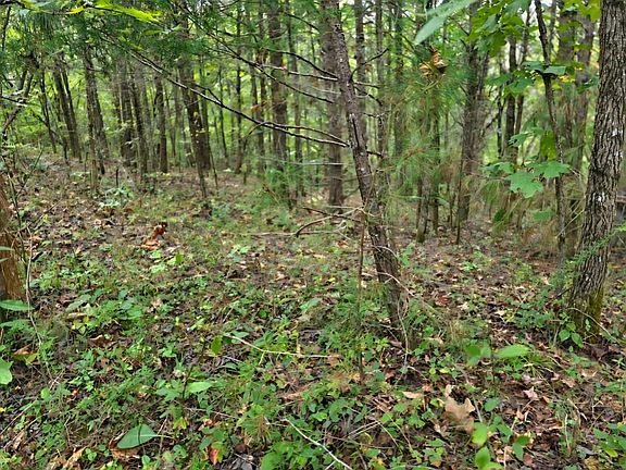 2nd image of 0 Old Pinhook Rd