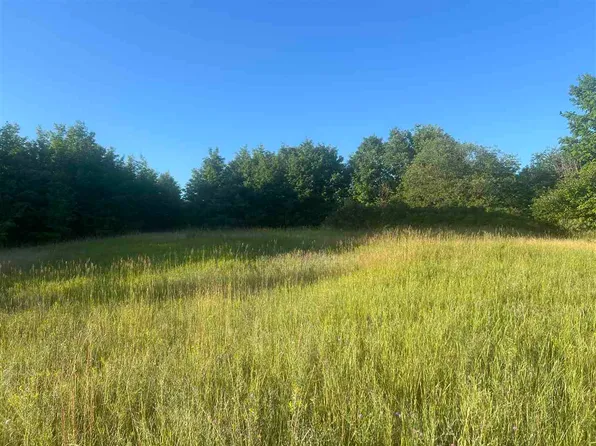 TBD Montgomery Road, Bellaire, MI 49615