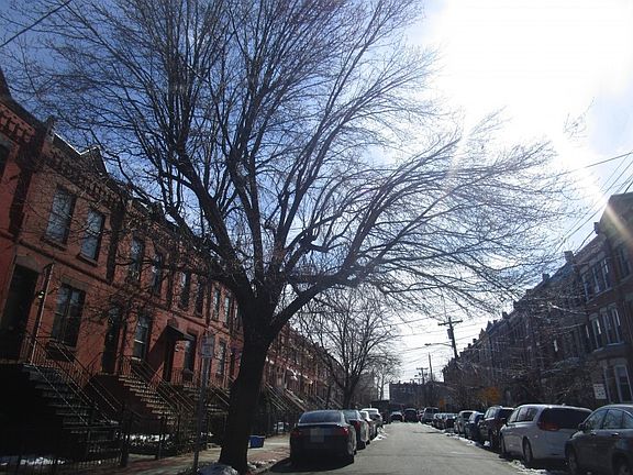 5th image of 19 Astor Pl