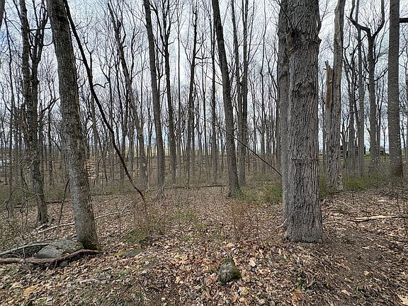 4th image of Woodland Dr