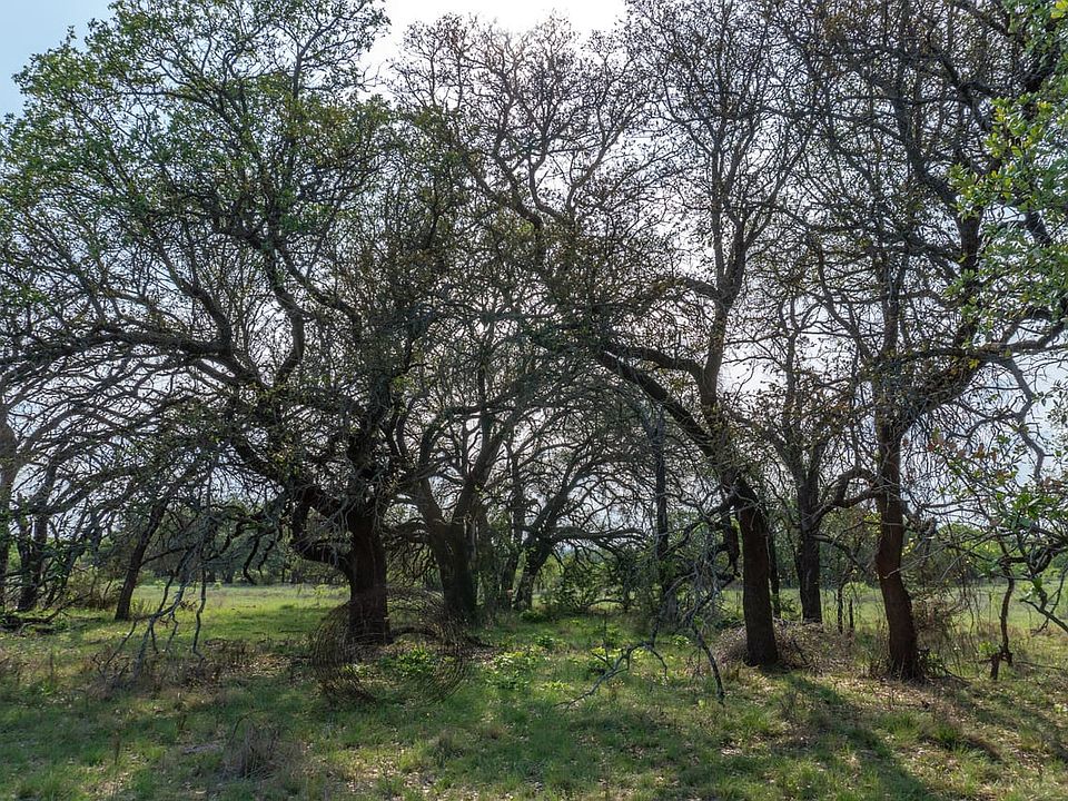 Land with a Water Well for Sale near Mullin, TX with Owner Financing | Creekside Rural Investments, Inc.