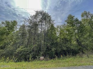 24 Maple Dr, Spring City, TN 37381