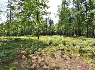 N Forest Lake Dr, Alger, MI 48610
