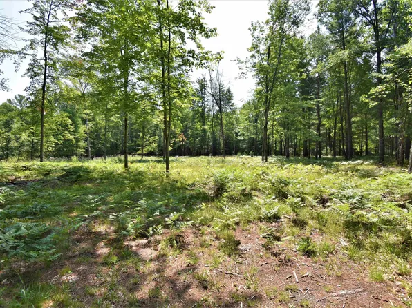 N Forest Lake Dr, Alger, MI 48610